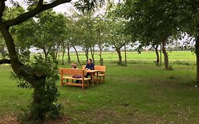 Marijanas Ferienwohnungen Gründeich Ein alter wunderschöner Resthof aus dem neunzehnten Jahrhundert mit Weidefläche und Obstwiesen Bitte nicht buchen wenn Sie eine unkrautfreie moderne Parkanlage erwarten Es ist ein rustikaler Hof